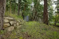 View 21