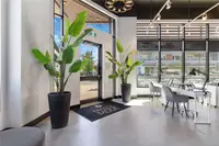 View 5