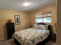 View 15