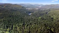 View 27