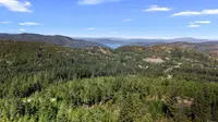 View 33