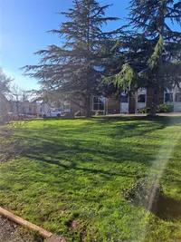 View 4