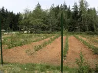 View 3