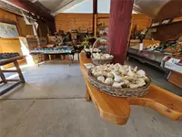 View 29