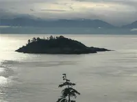 View 13