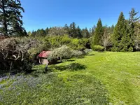 View 38