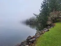 View 40