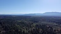 View 10