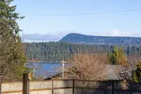 View 39