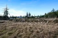 View 46