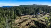 View 30