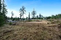 View 50
