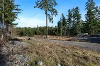 View 39