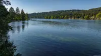 View 37