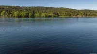 View 39