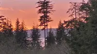 View 84