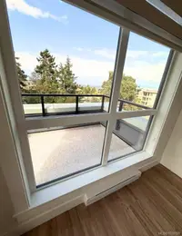View 14