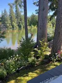 View 64