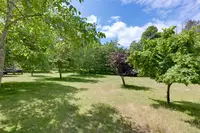 View 66