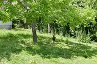 View 32