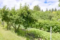 View 34