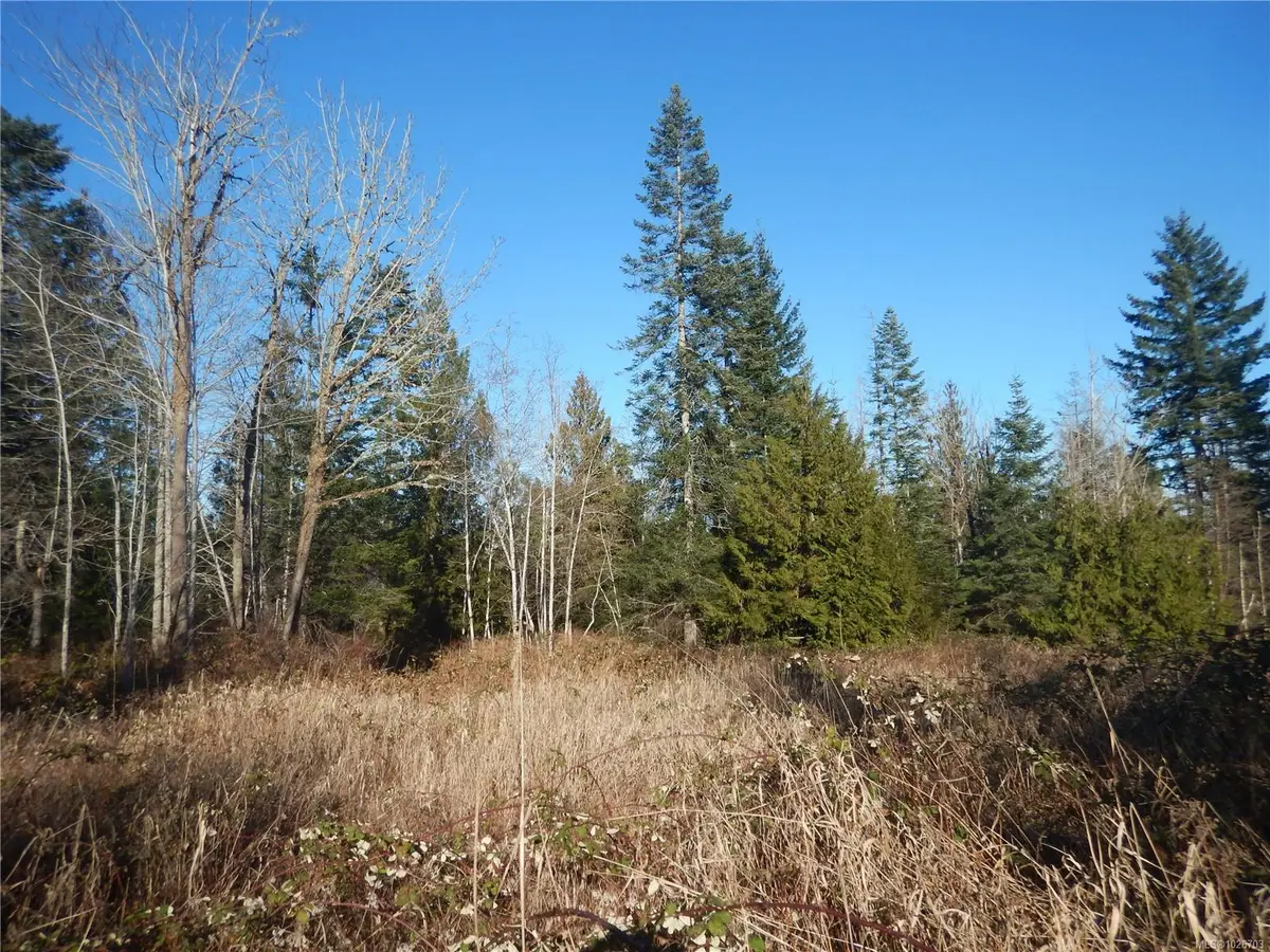 Lot 2 Artela Dr, Fanny Bay BC V0R 1W0