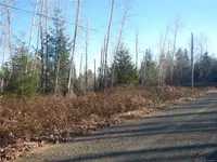 View 11