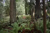 View 2