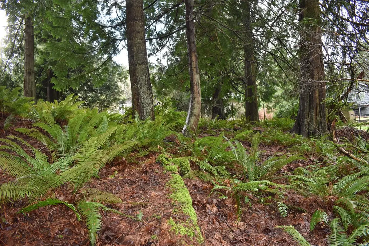 201 Grantville St, Salt Spring BC V8K 1P1