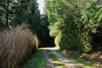 View 27
