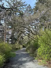 View 38