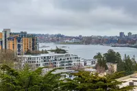 View 21