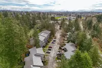 View 40