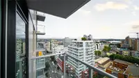 View 24
