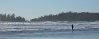 View 36