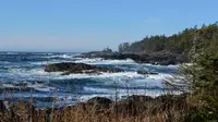 View 33