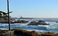 View 31