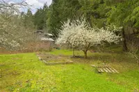 View 12