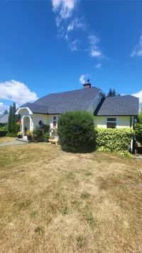 View 45