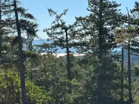 View 18