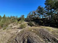 View 19