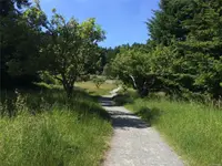View 25