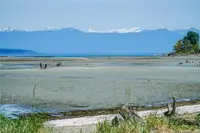 View 62