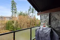 View 14