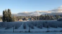 View 17