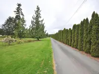 View 15