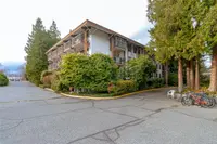 View 43