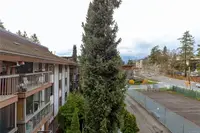 View 41