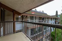 View 39