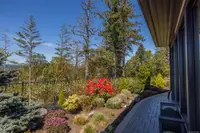 View 64
